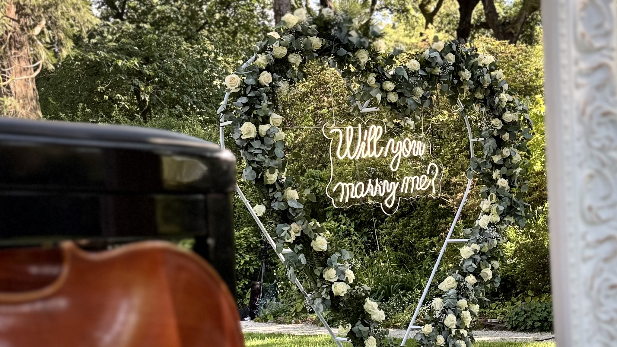 Propuesta de Matrimonio