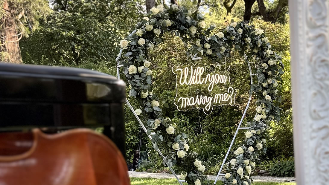 Propuesta de Matrimonio